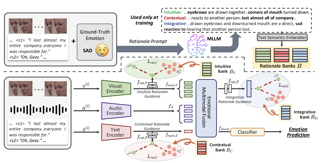 Rationale-Guided Learning for Multimodal Emotion Recognition